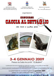 Locandina Concorso-premio: CACCIA AL DETTAGLIO. VESPOLATE 3-4 Gennaio 2009